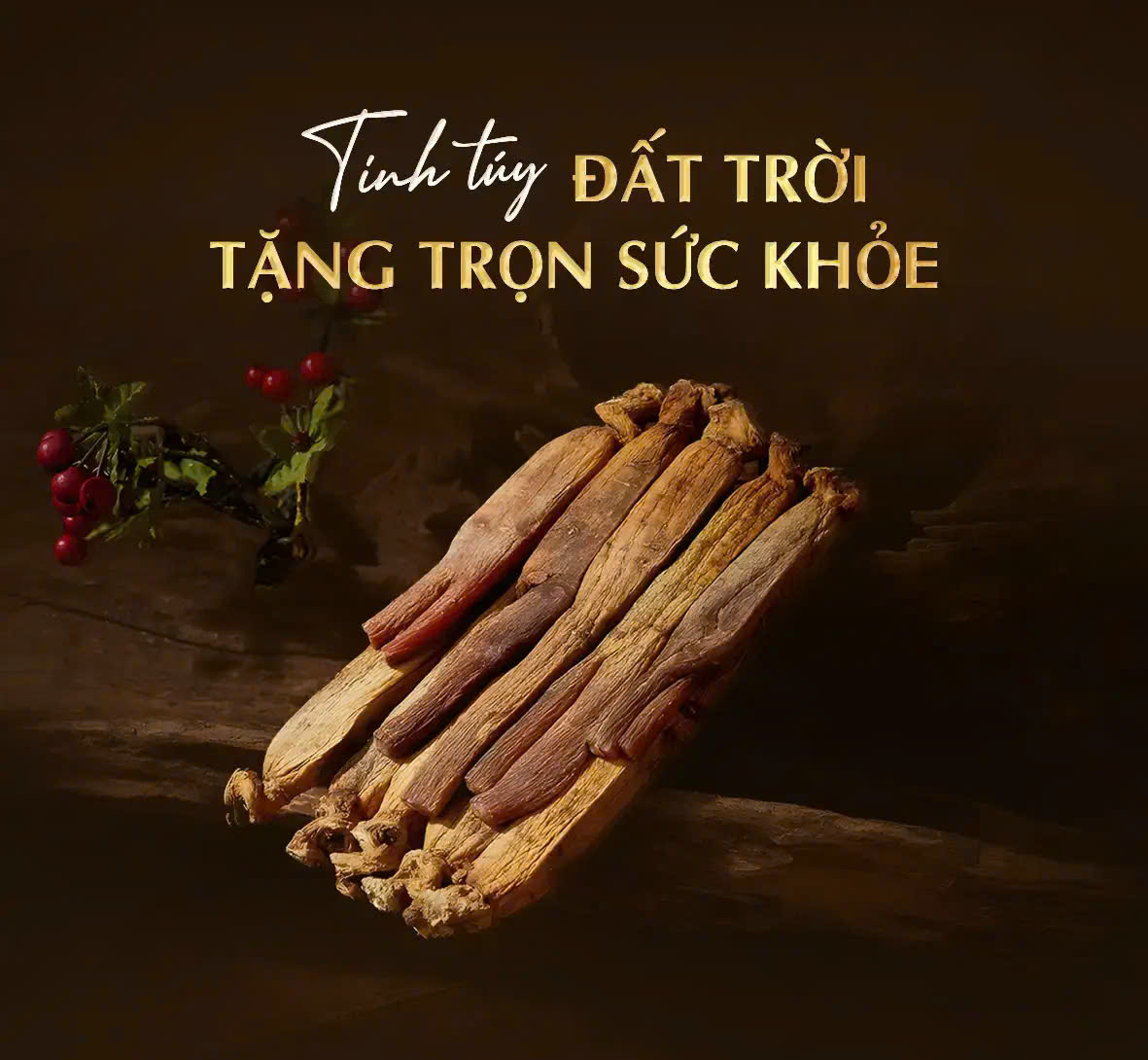 Nhân sâm Hàn Quốc chuẩn chính ngạch — tinh túy đất trời, tặng trọn sức khỏe